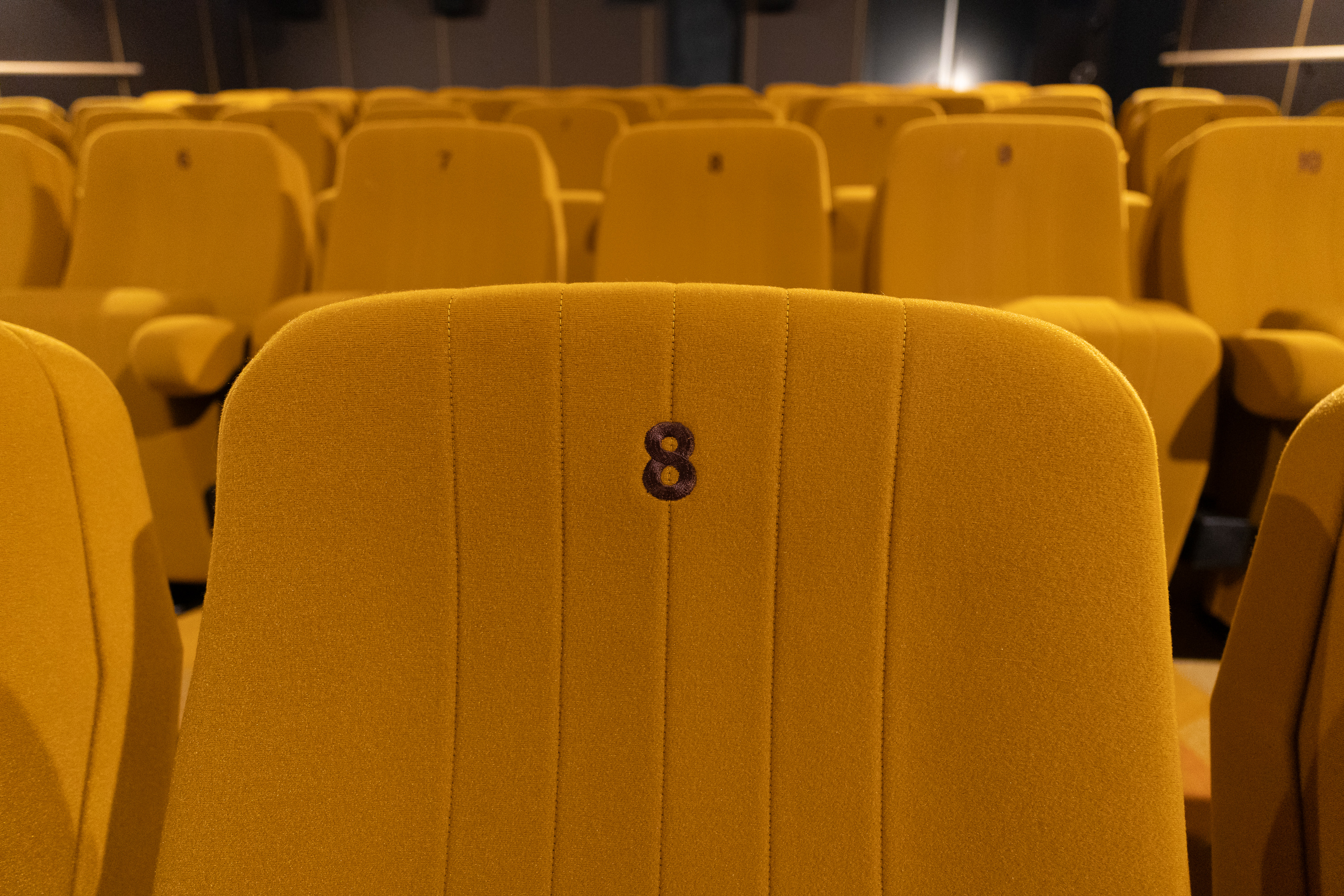 FilmTheater FilmkrantDag-004.jpg